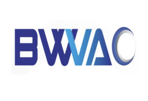 Beijing Beiyi Woosung | Vakum Pompaları